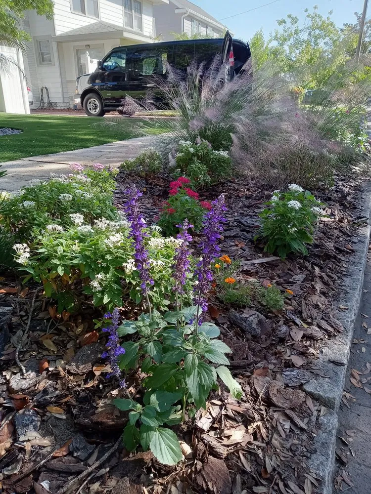 Custom landscaping services for residential properties in St. Petersburg, FL by Step By Step Native Landscaping