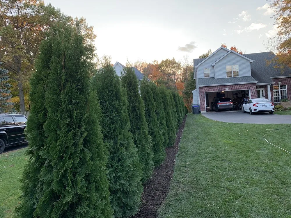 Custom garden landscaping for homes in Wauconda, IL by Stepanek Landscaping