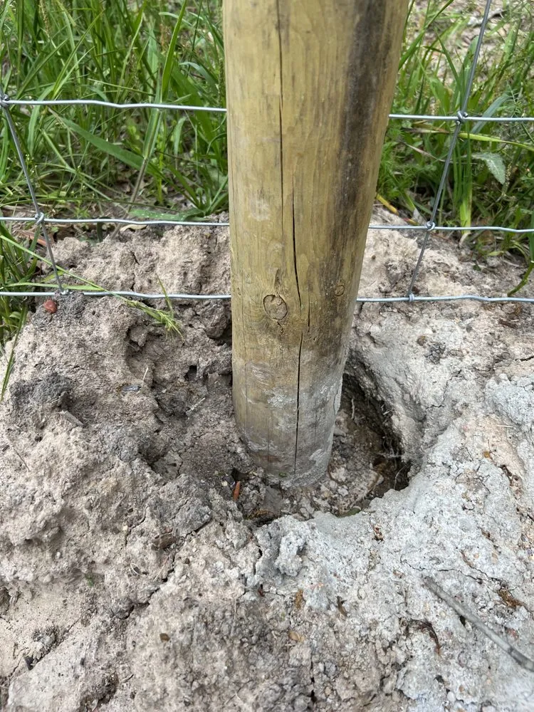 Professional landscaping services for homes in New Waverly, TX by Stepanski Land Management