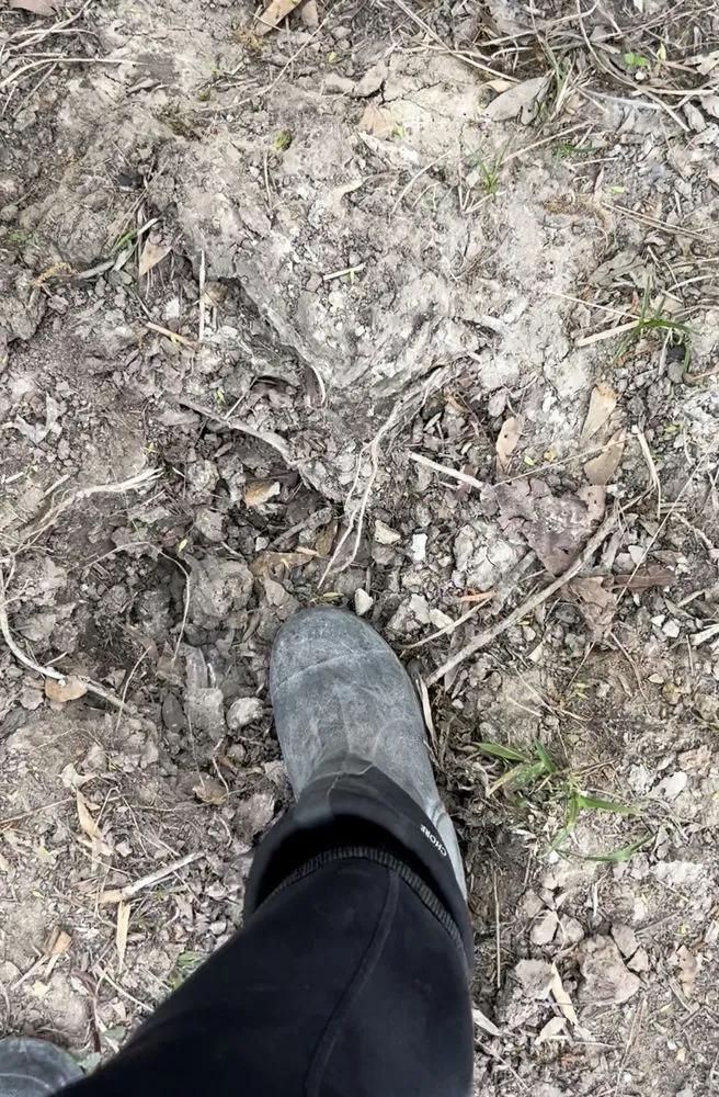 Expert residential landscaping in New Waverly, TX by Stepanski Land Management