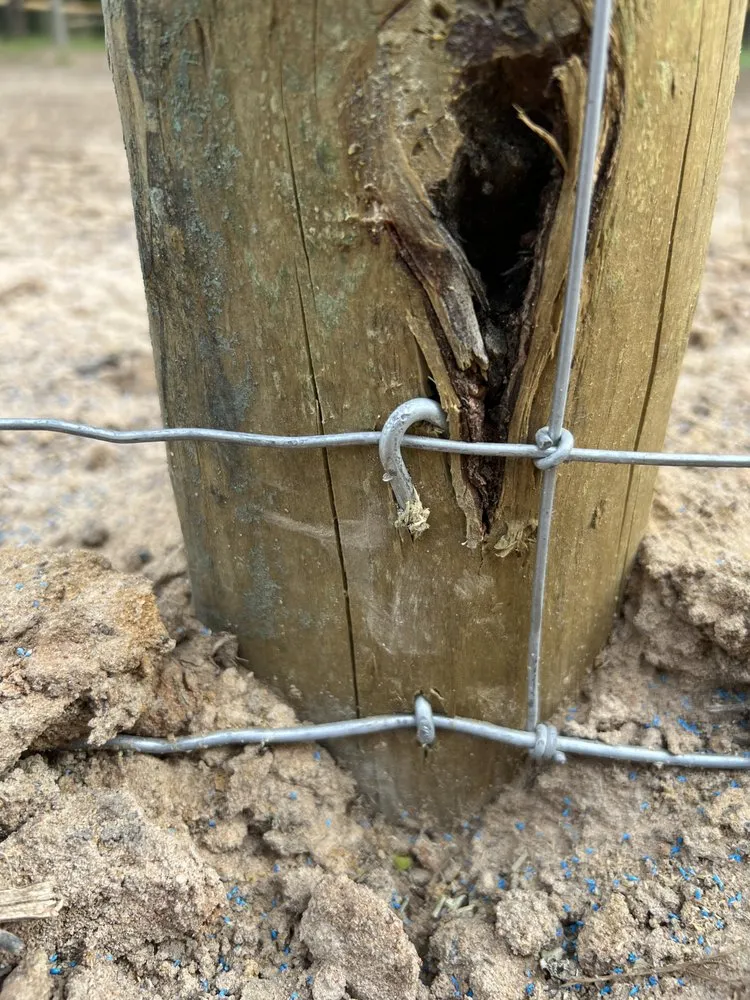 Affordable yard maintenance in New Waverly, TX by Stepanski Land Management