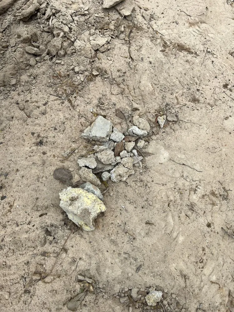 Trusted landscape installation with custom design in New Waverly, TX by Stepanski Land Management