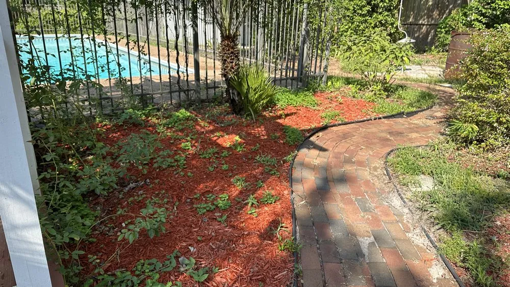 Local yard maintenance in Summerville, SC by Steph & Paul Lawn Care Service