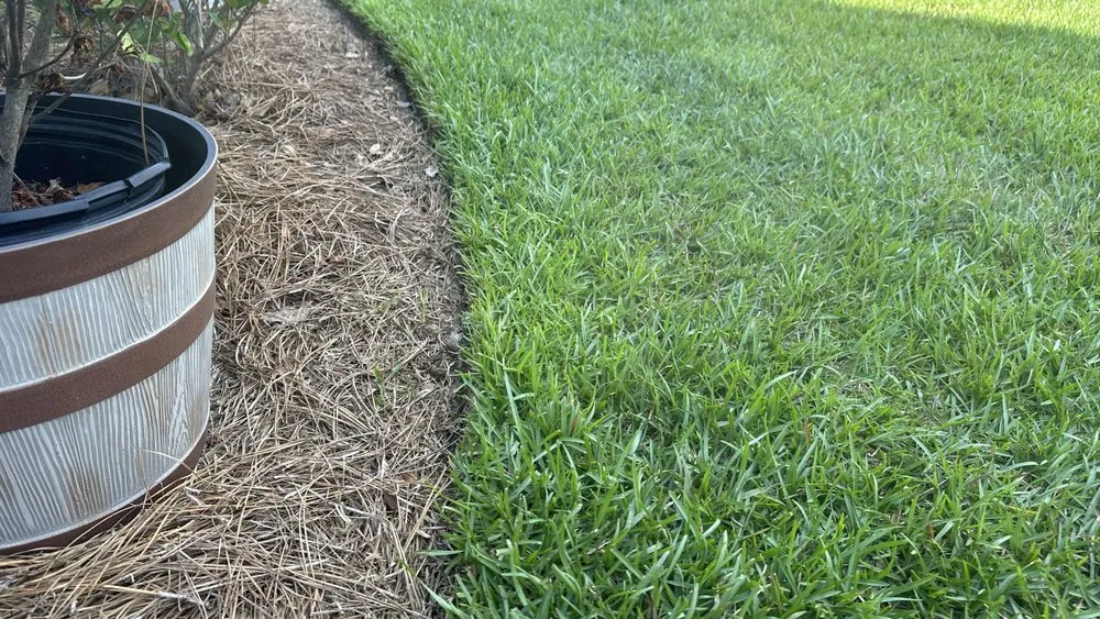 Expert yard maintenance for year-round maintenance in Summerville, SC by Steph & Paul Lawn Care Service