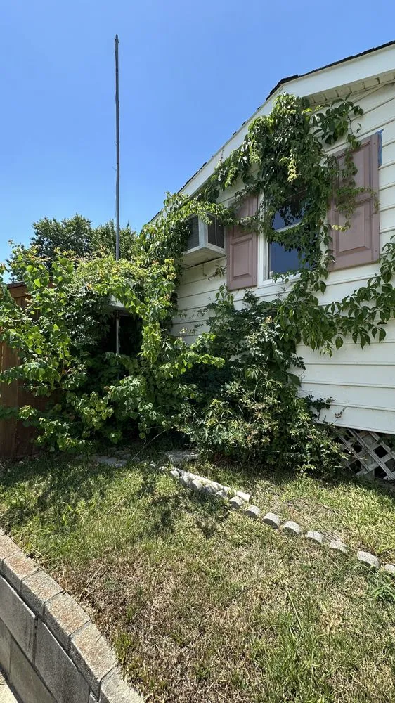 Professional yard maintenance in Summerville, SC by Steph & Paul Lawn Care Service