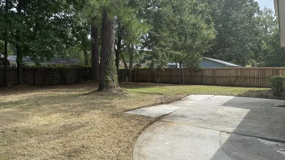 Professional yard cleanup service experts serving Summerville, SC - Steph & Paul Lawn Care Service