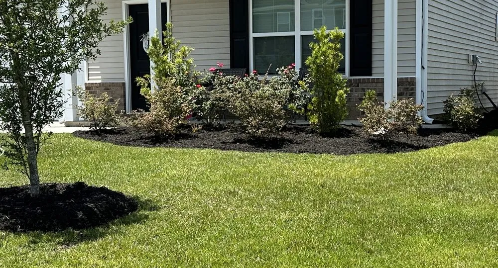 Affordable landscape design experts serving Summerville, SC - Steph & Paul Lawn Care Service