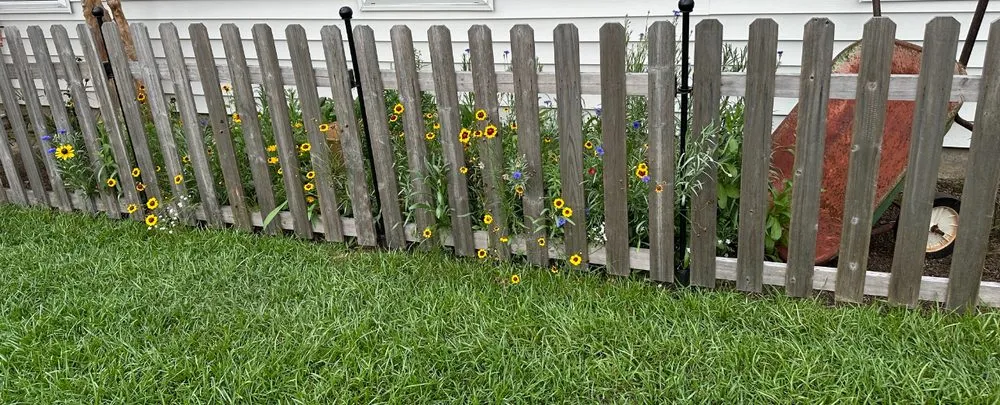 Affordable garden landscaping with custom design in Summerville, SC by Steph & Paul Lawn Care Service