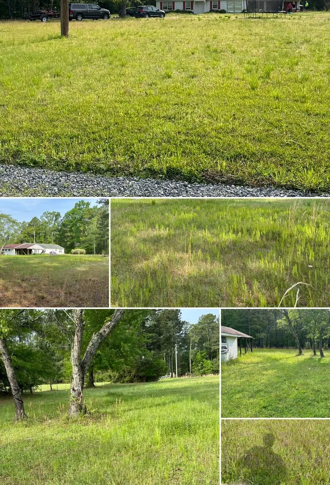 Reliable landscaping services for residential properties across Summerville, SC - Steph & Paul Lawn Care Service