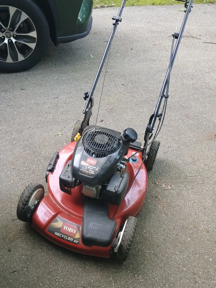 Reliable yard cleanup service in Milford, NH - Stephen Brewer