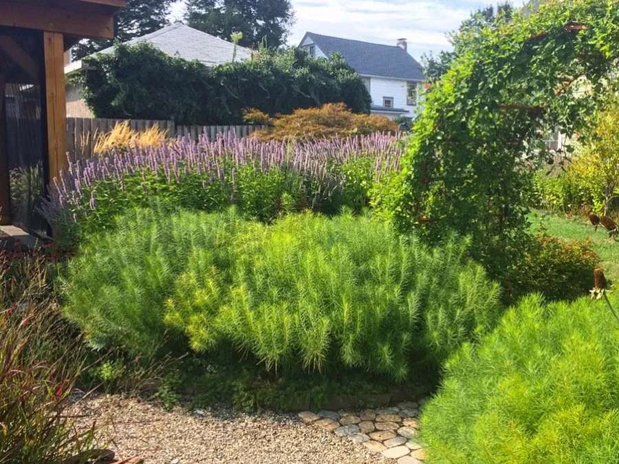 Custom garden landscaping experts serving Collingswood, NJ - Stephen Coan Garden Design