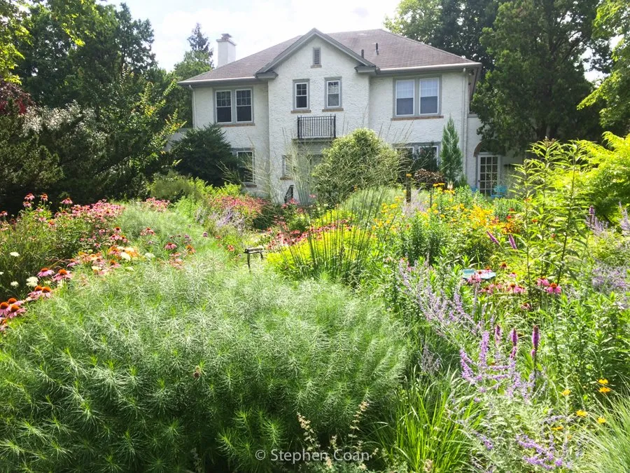 Local yard maintenance for outdoor upgrades in Collingswood, NJ by Stephen Coan Garden Design