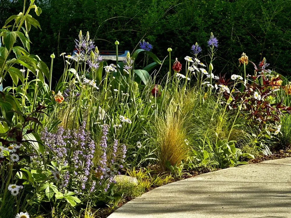 Trusted residential landscaping for residential properties across Collingswood, NJ - Stephen Coan Garden Design