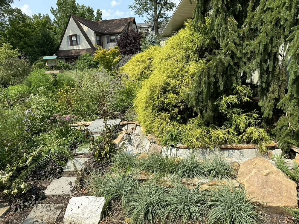 Expert lawn mowing service in Collingswood, NJ - Stephen Coan Garden Design