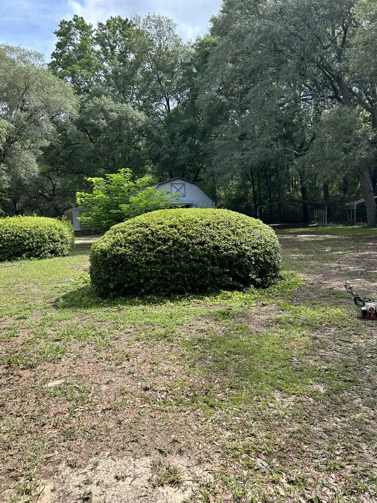 Local yard cleanup service in Milton, FL by Stephen Fredrickson Landscaping And Outdoor Services