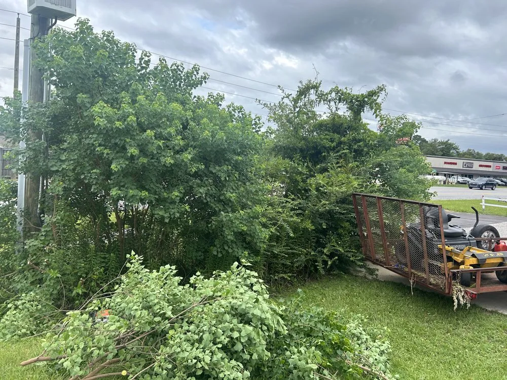 Reliable landscape design near you in Milton, FL by Stephen Fredrickson Landscaping And Outdoor Services