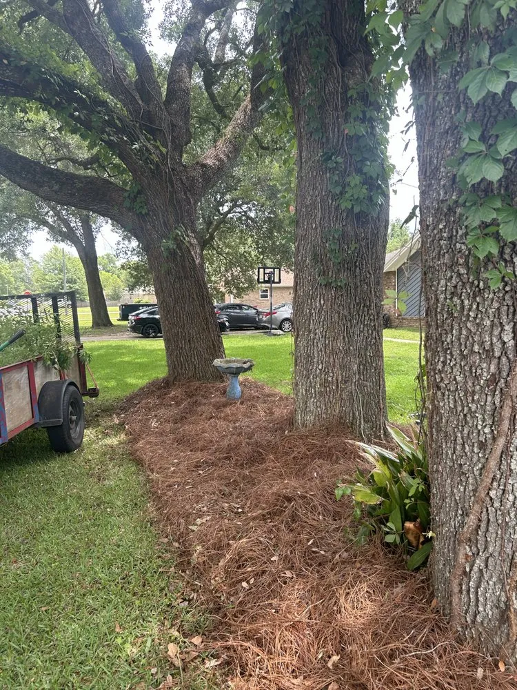 Trusted landscape installation for outdoor upgrades in Milton, FL by Stephen Fredrickson Landscaping And Outdoor Services