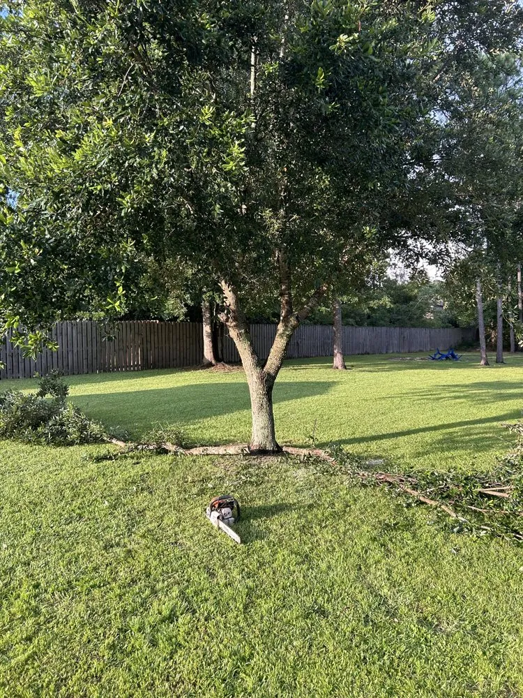 Expert lawn care service with custom design in Milton, FL by Stephen Fredrickson Landscaping And Outdoor Services