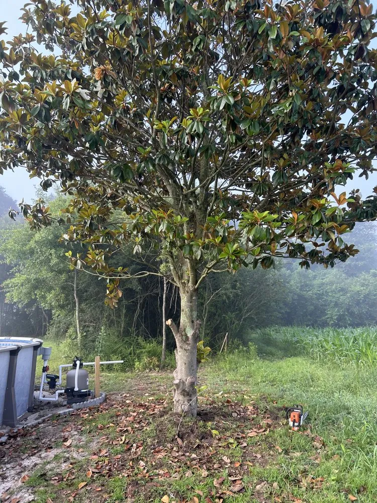 Affordable landscape installation experts serving Milton, FL - Stephen Fredrickson Landscaping And Outdoor Services