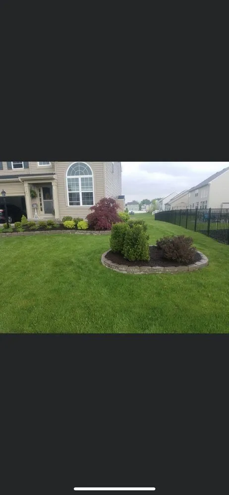 Professional yard cleanup service near you in Columbus, GA by Stephen Lawn Care