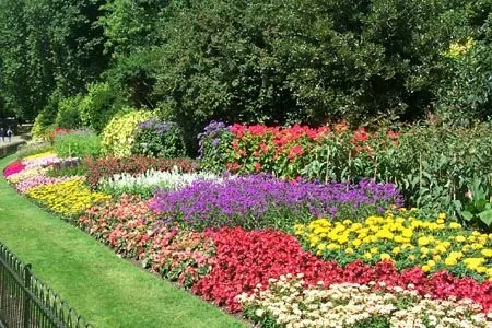 Expert landscaping services for outdoor upgrades across Columbus, GA - Stephen Lawn Care