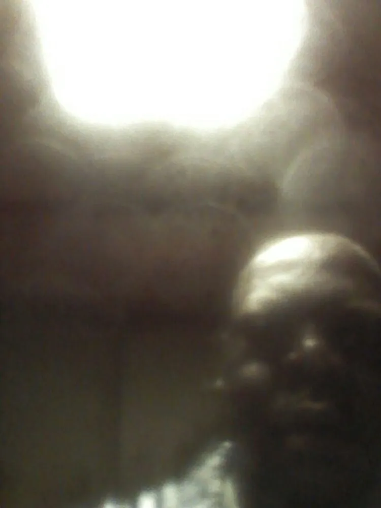 Top-rated residential landscaping in Charlotte, NC - Stephens Enterprises Lawn service