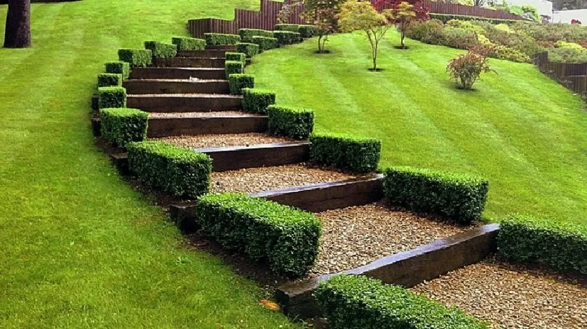 Professional residential landscaping in Charlotte, NC - Stephens Enterprises Lawn service