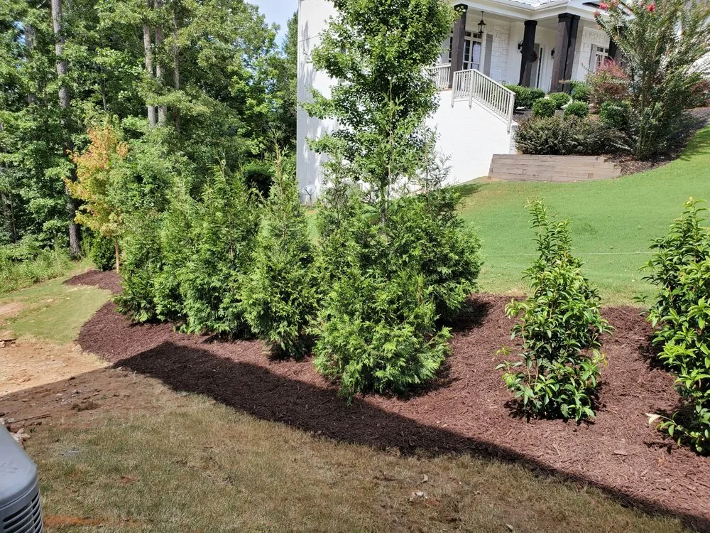 Top-rated outdoor landscaping experts serving Cumming, GA - Stephens Family Landscaping and Trees