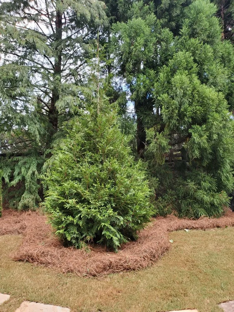 Affordable garden landscaping in Cumming, GA - Stephens Family Landscaping and Trees