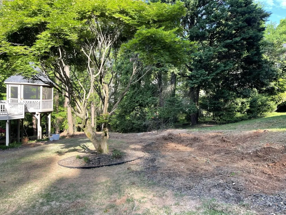 Top-rated landscape installation in Cumming, GA by Stephens Family Landscaping and Trees