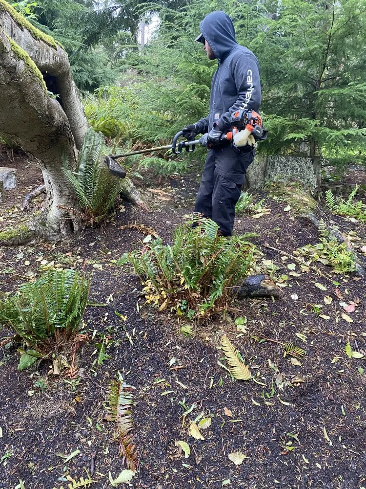 Top-rated garden landscaping in Oak Harbor, WA - Stephens Landscape Contractors