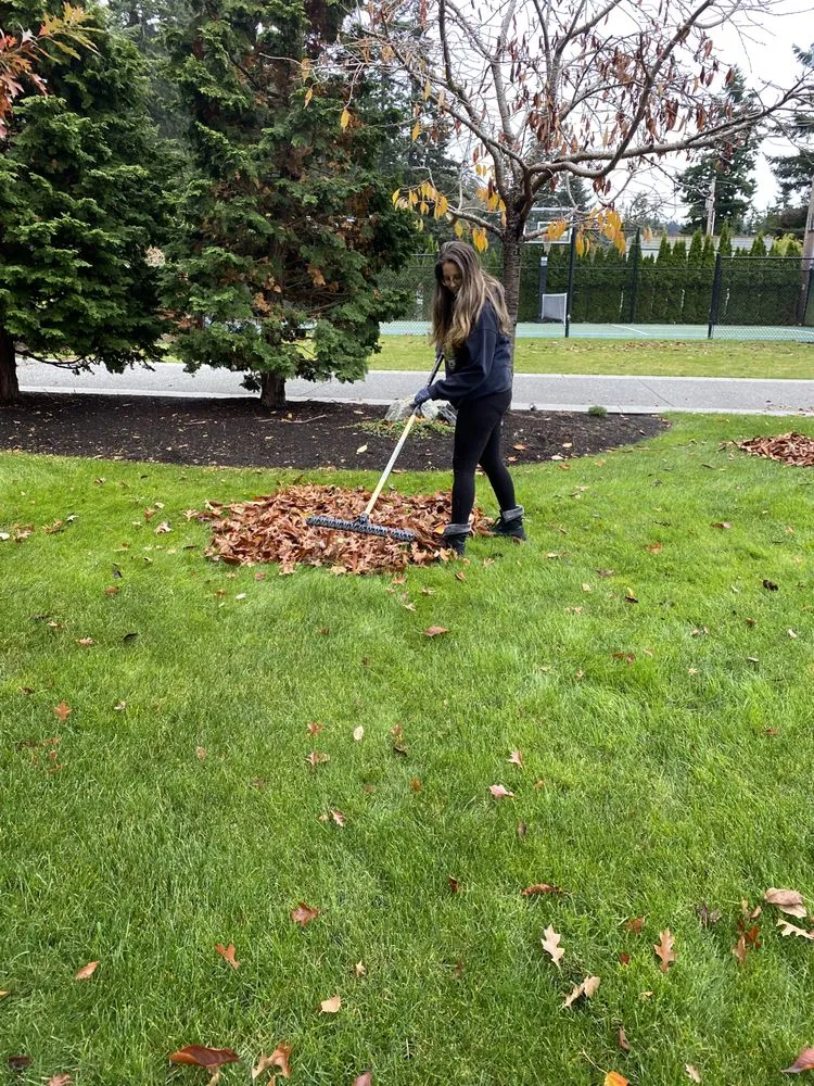 Local landscape installation in Oak Harbor, WA - Stephens Landscape Contractors