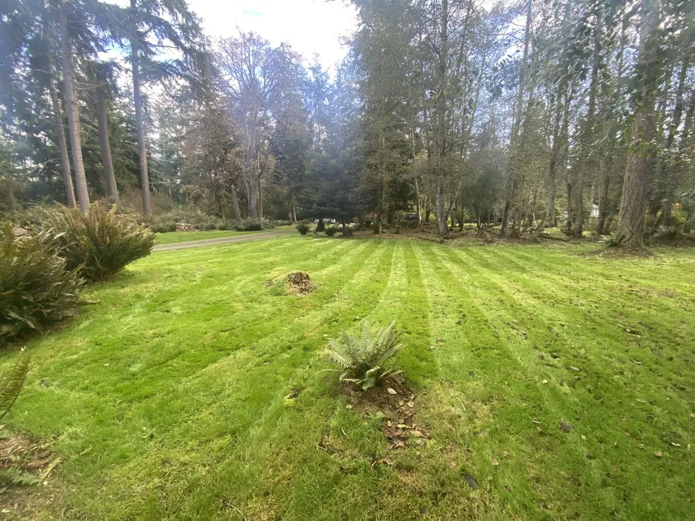 Top-rated residential landscaping in Oak Harbor, WA by Stephens Landscape Contractors
