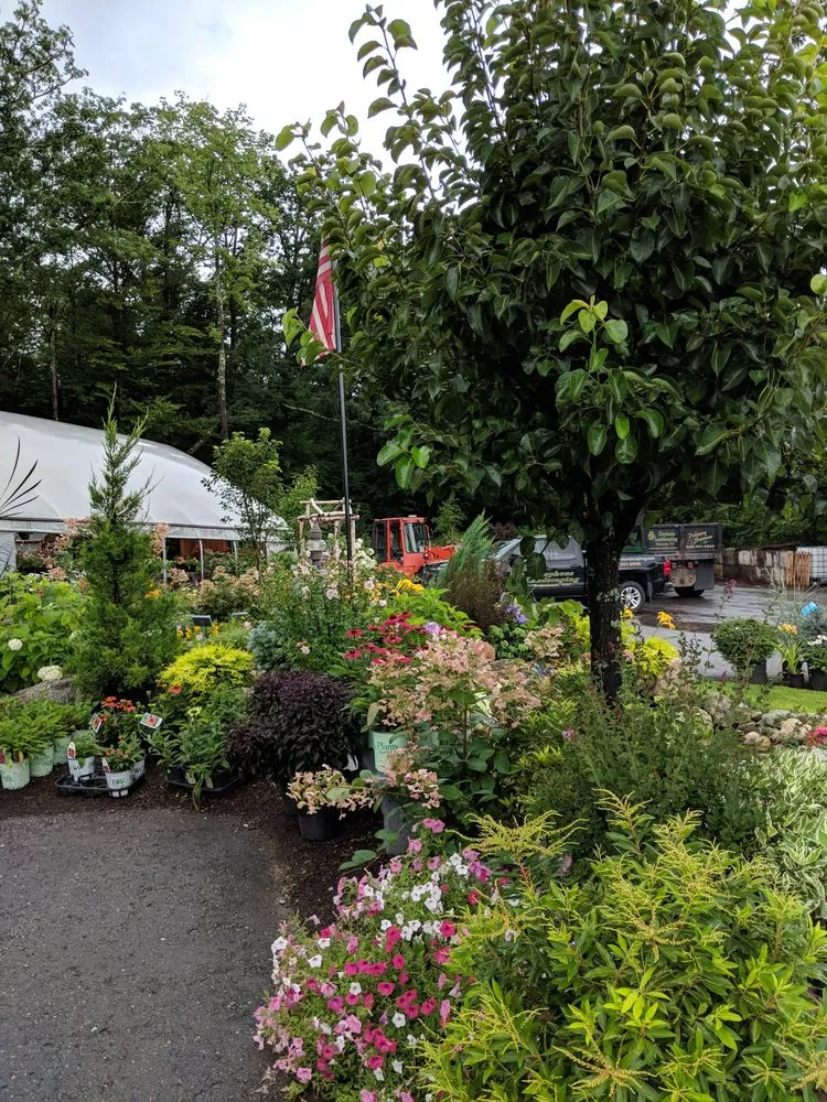Local landscape installation experts serving Moultonborough, NH - Stephens Landscaping Professionals