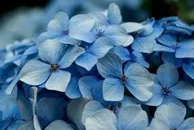 Reliable yard cleanup service in West Hempstead, NY by Stephens Landscaping