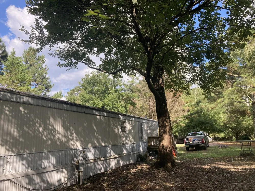 Reliable lawn mowing service in Albertville, AL - Stephens Lawn Care