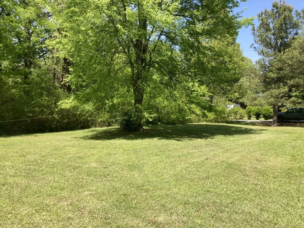 Custom yard cleanup service with custom design across Albertville, AL - Stephens Lawn Care