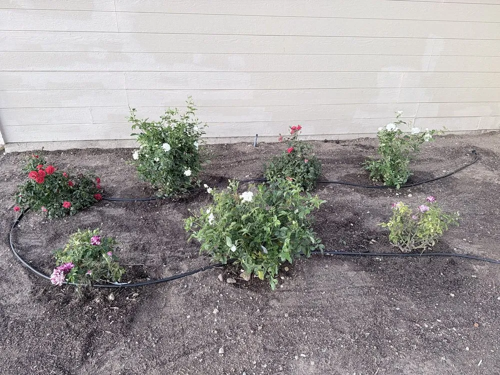 Custom landscape design experts serving Banning, CA - Stephen's Lawn Care and Improvements