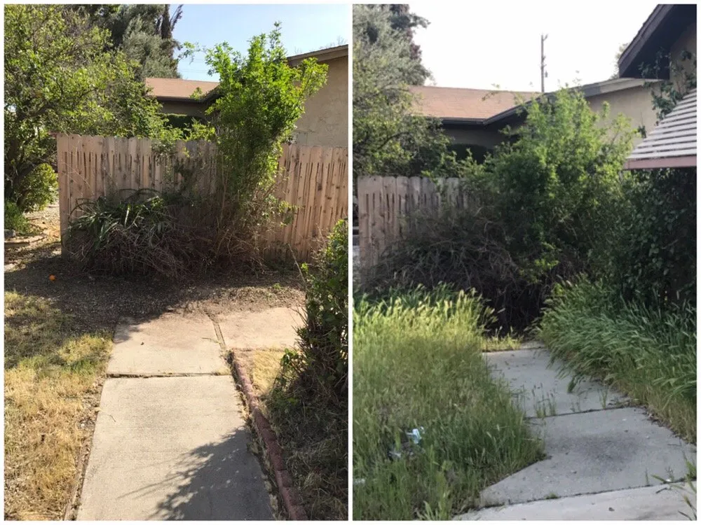 Professional residential landscaping in Banning, CA - Stephen's Lawn Care and Improvements