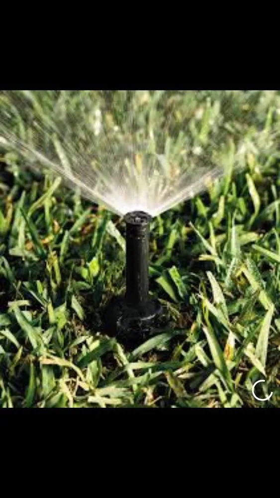 Local residential landscaping for beautiful yards in Banning, CA by Stephen's Lawn Care and Improvements