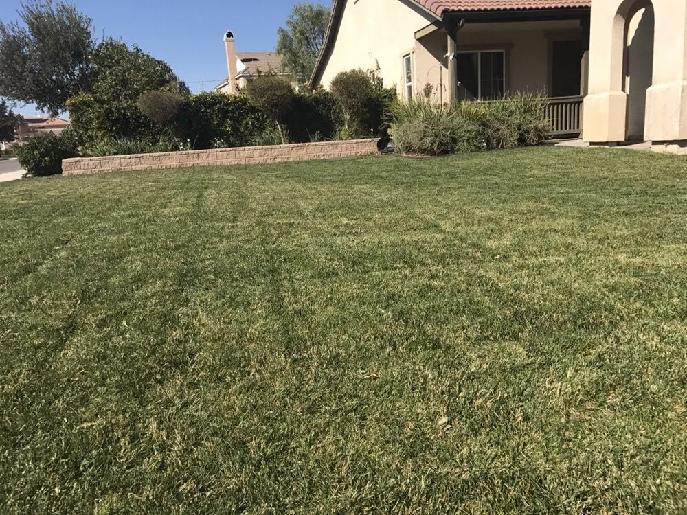 Reliable landscaping services in Banning, CA - Stephen's Lawn Care and Improvements