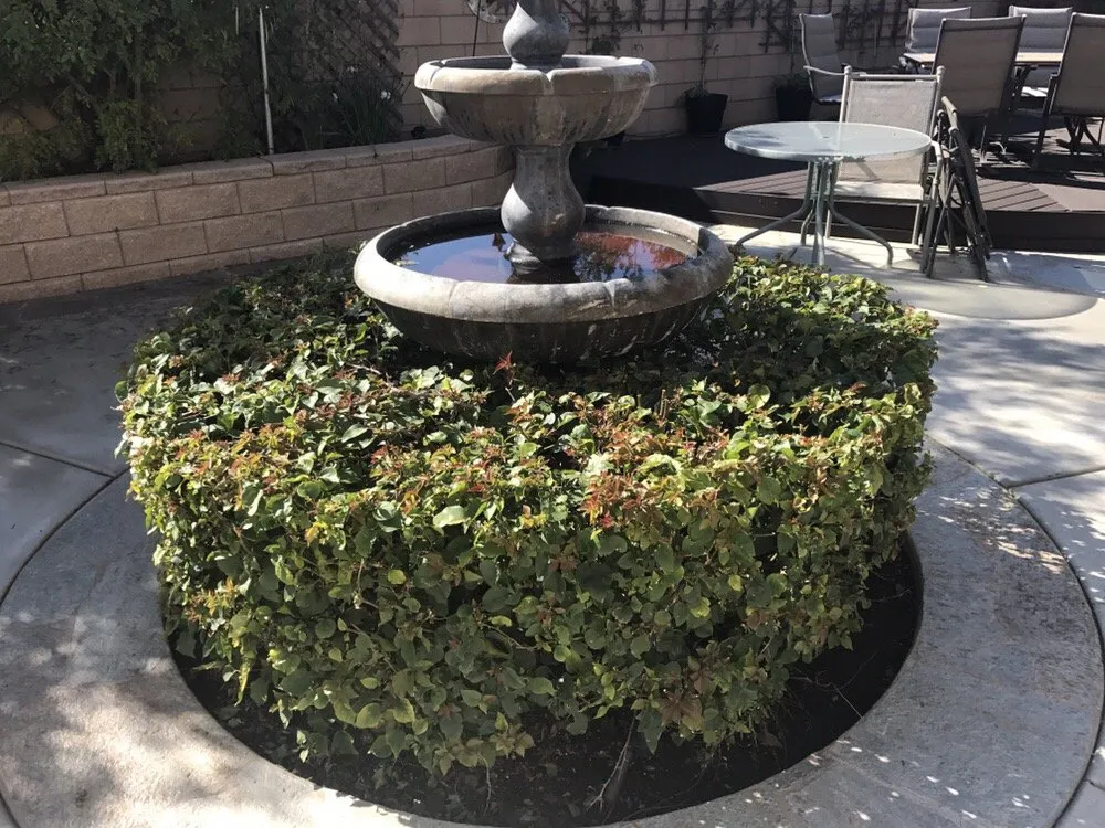 Local landscaping services for year-round maintenance in Banning, CA by Stephen's Lawn Care and Improvements