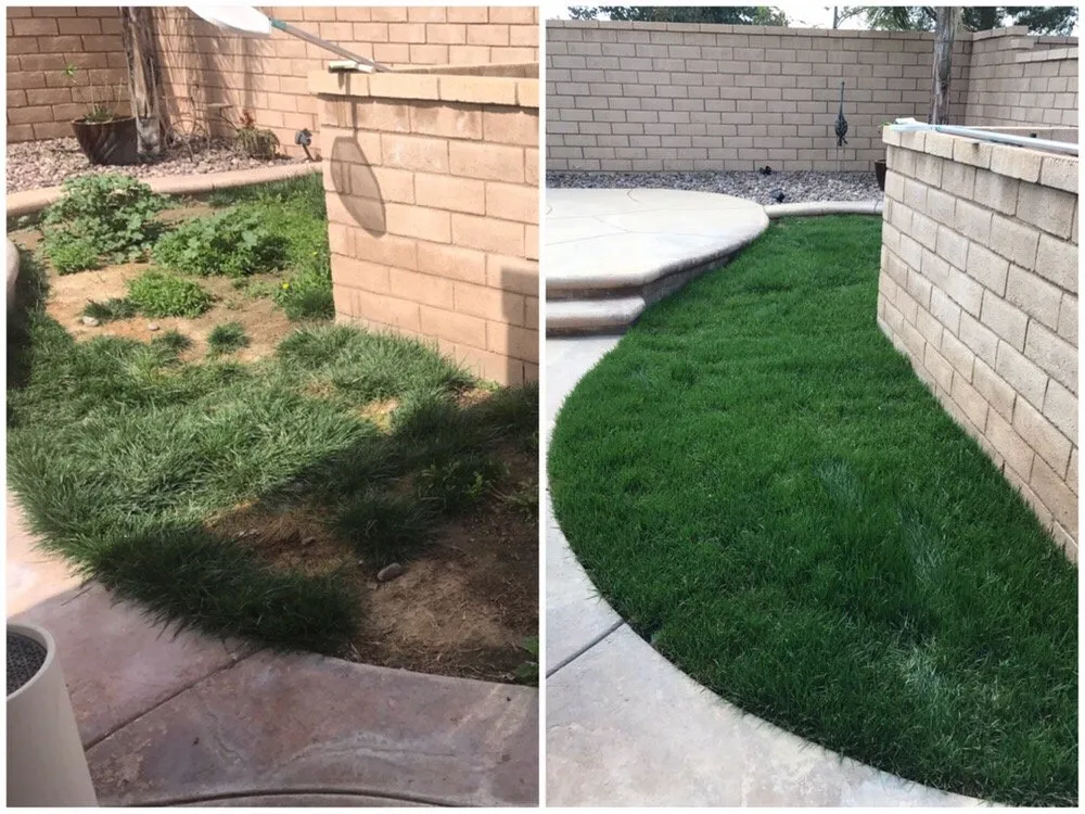 Trusted garden landscaping for homes across Banning, CA - Stephen's Lawn Care and Improvements