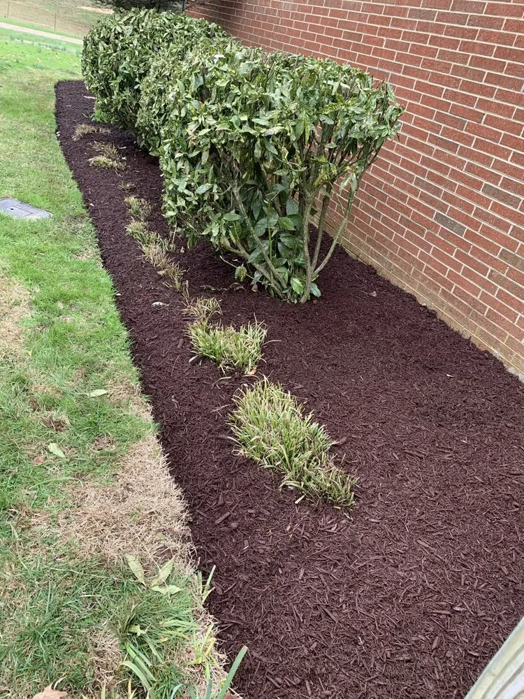Expert lawn care service with custom design across Corryton, TN - Stephen’s Lawn Care