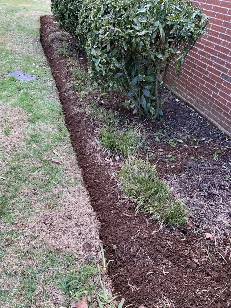 Expert yard cleanup service for beautiful yards in Corryton, TN by Stephen’s Lawn Care