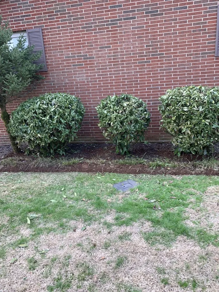 Affordable yard maintenance experts serving Corryton, TN - Stephen’s Lawn Care