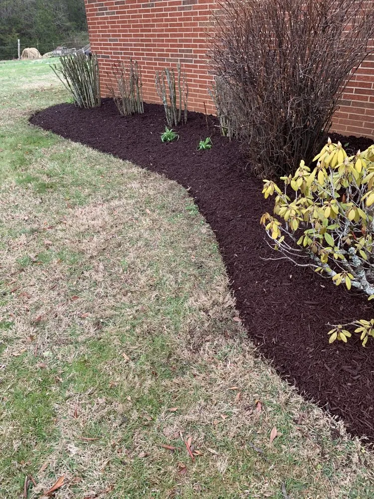 Trusted yard cleanup service in Corryton, TN by Stephen’s Lawn Care