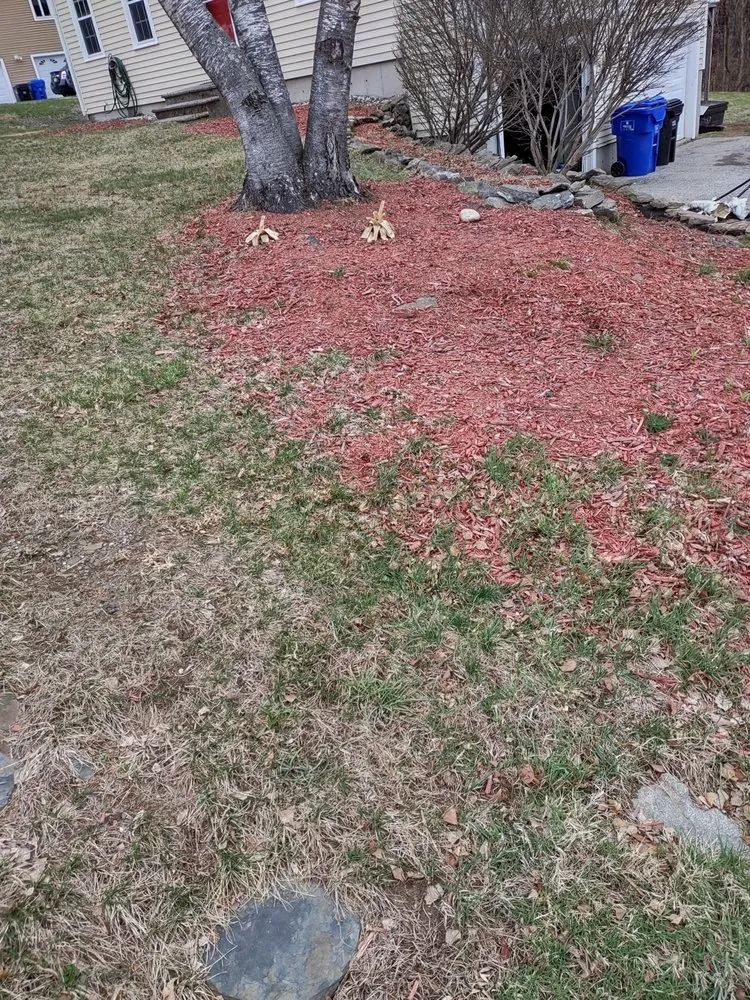 Expert landscaping services in Corryton, TN by Stephen’s Lawn Care