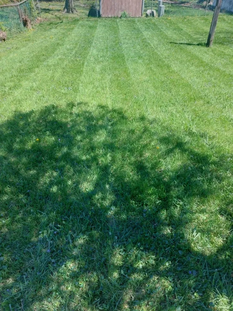 Trusted landscape design experts serving Grove City, OH - Stephens Lawn Care