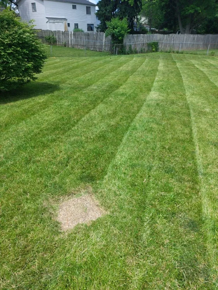 Reliable yard maintenance in Grove City, OH by Stephens Lawn Care